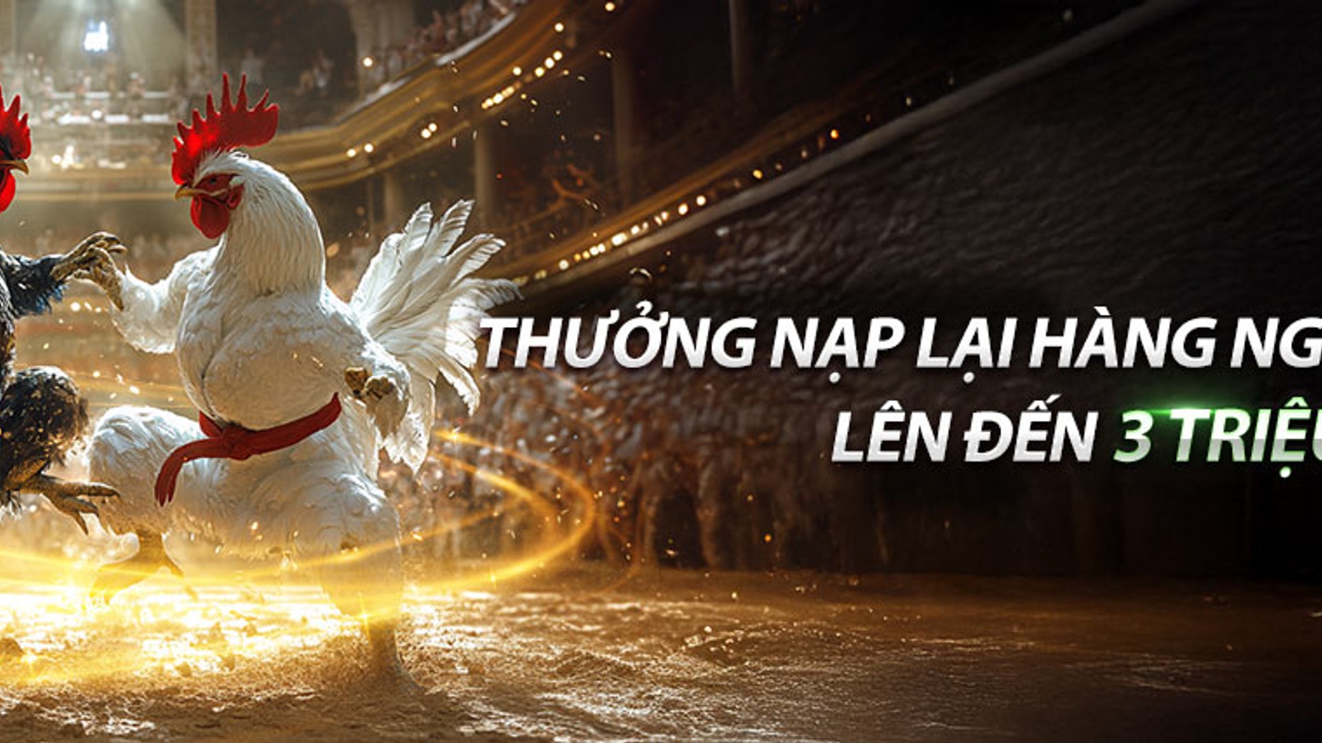 Hình ảnh tiền thưởng nạp tiền hàng ngày 368bet